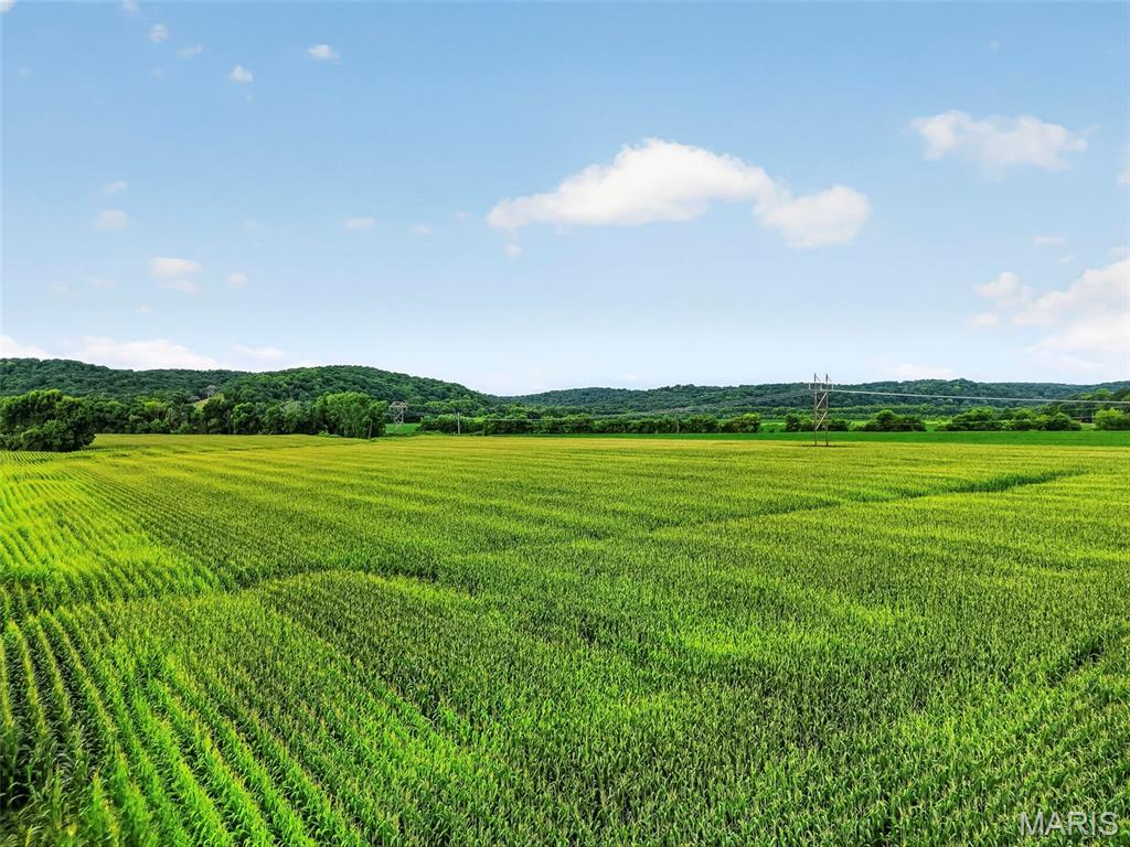 N/A - Farm