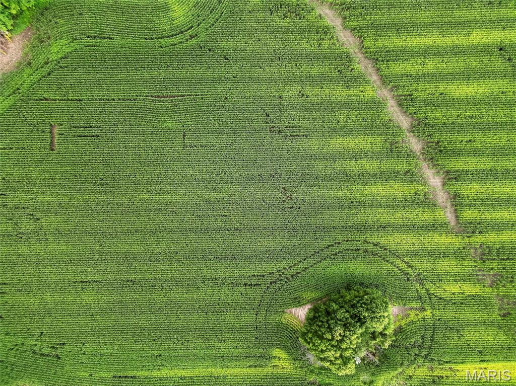 N/A - Farm