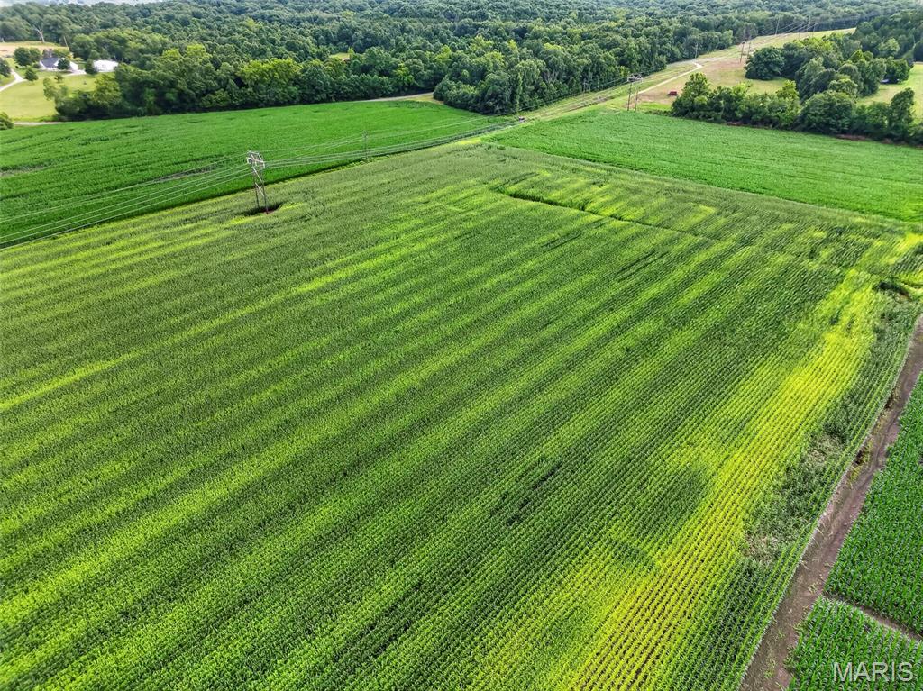 N/A - Farm