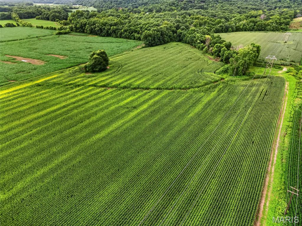N/A - Farm