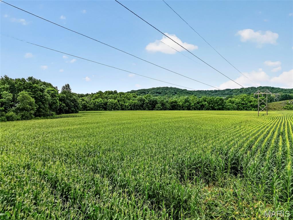 N/A - Farm