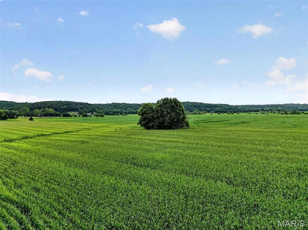 N/A - Farm