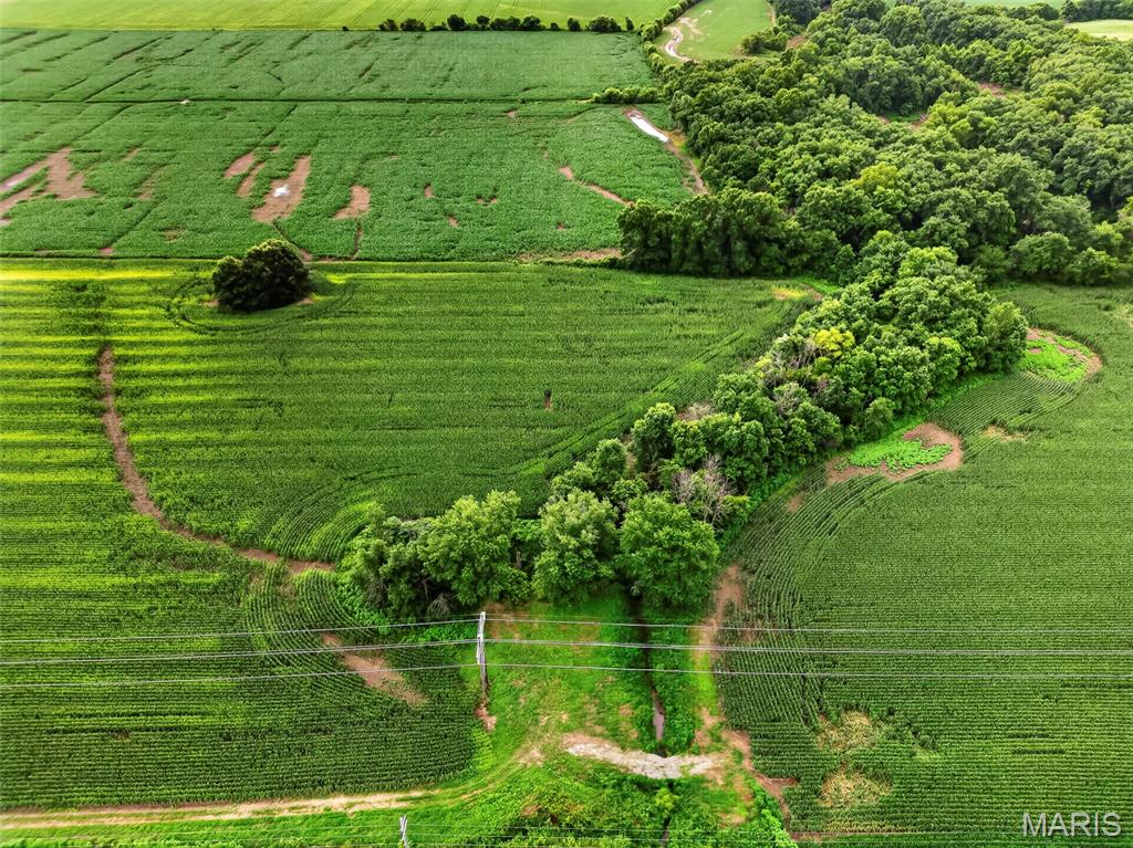 N/A - Farm