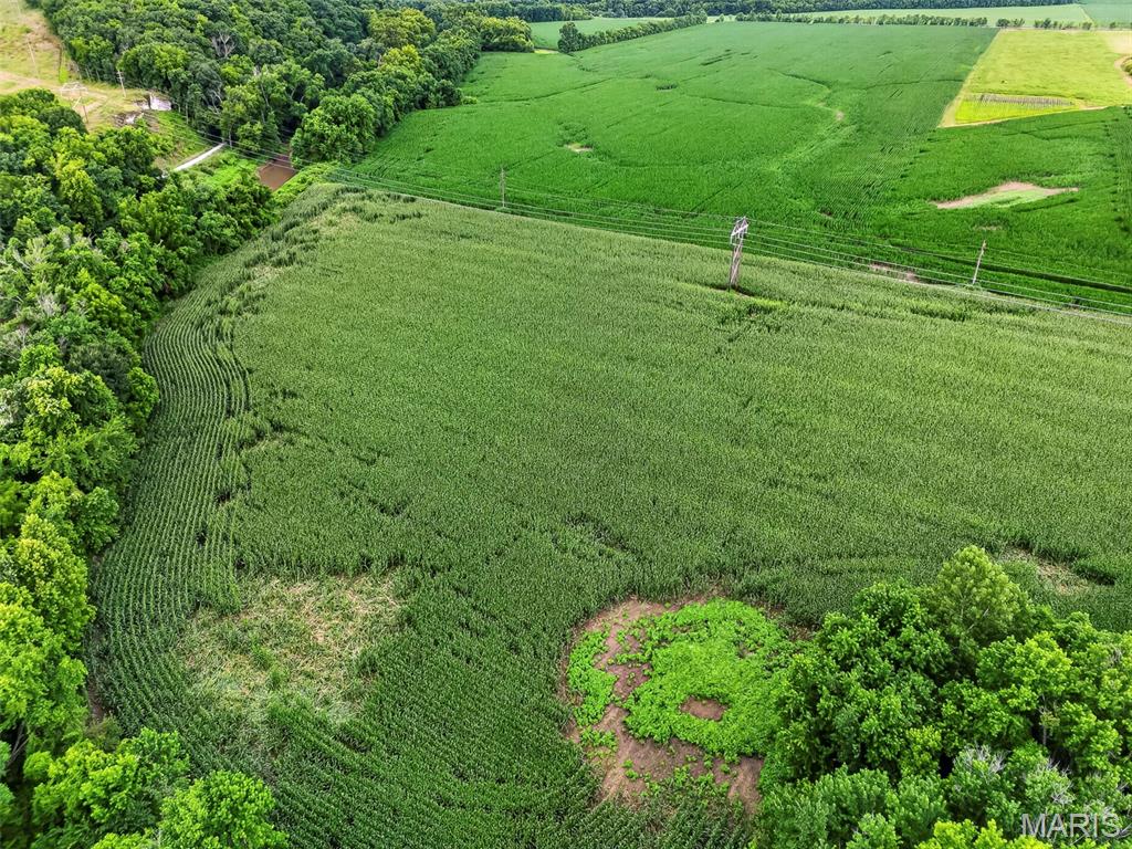 N/A - Farm