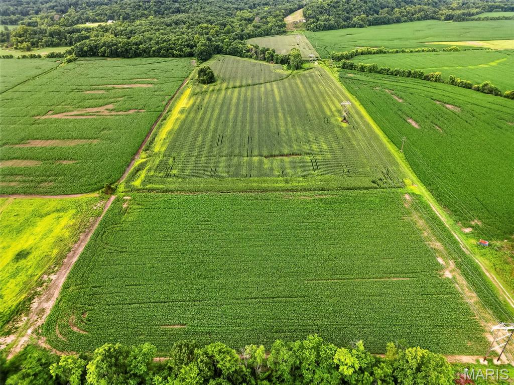 N/A - Farm