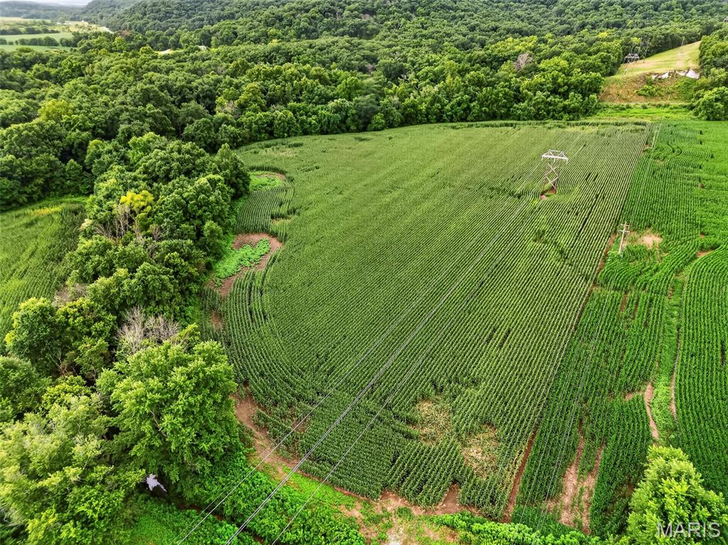 N/A - Farm
