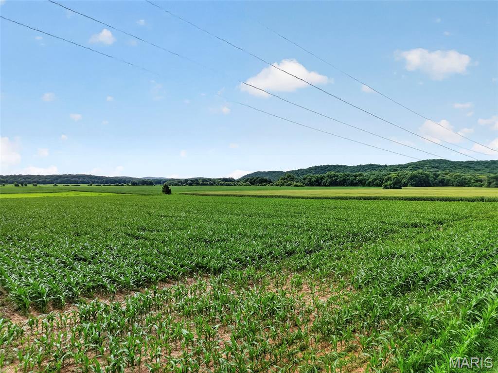 N/A - Farm