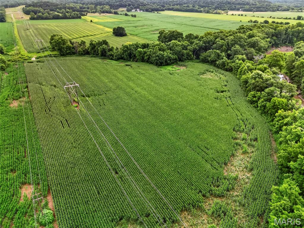 N/A - Farm