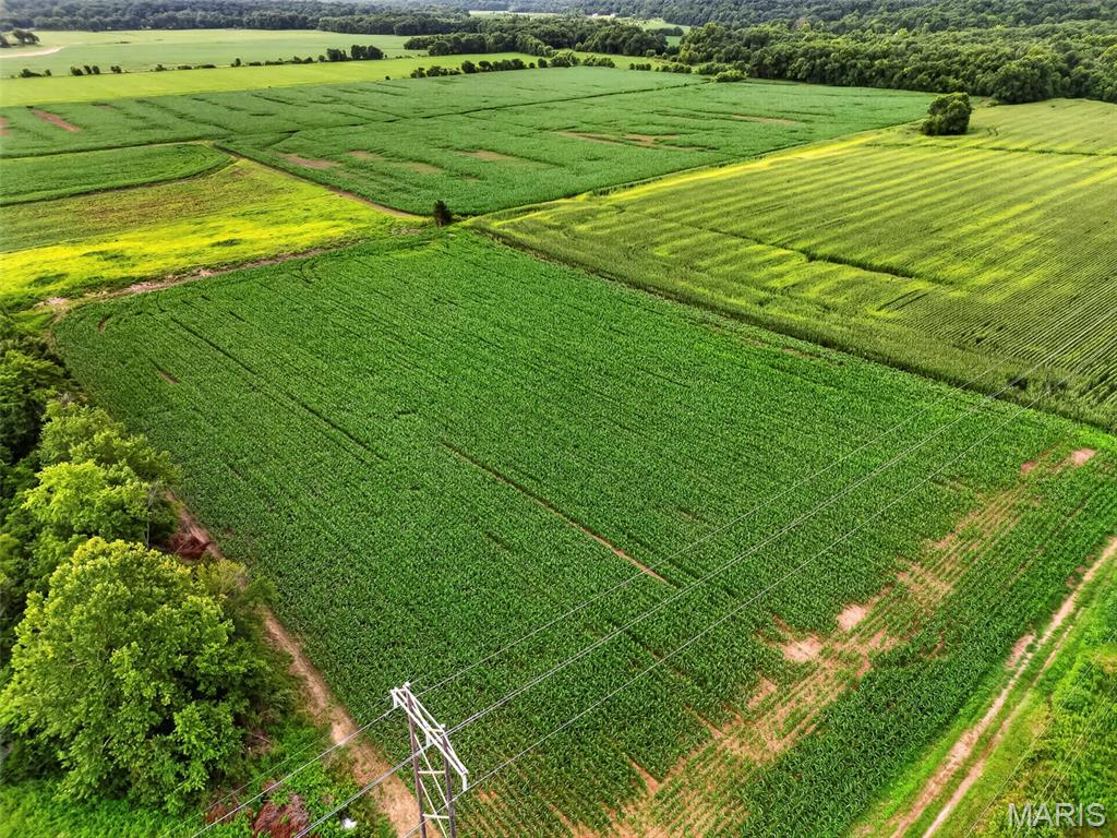 N/A - Farm
