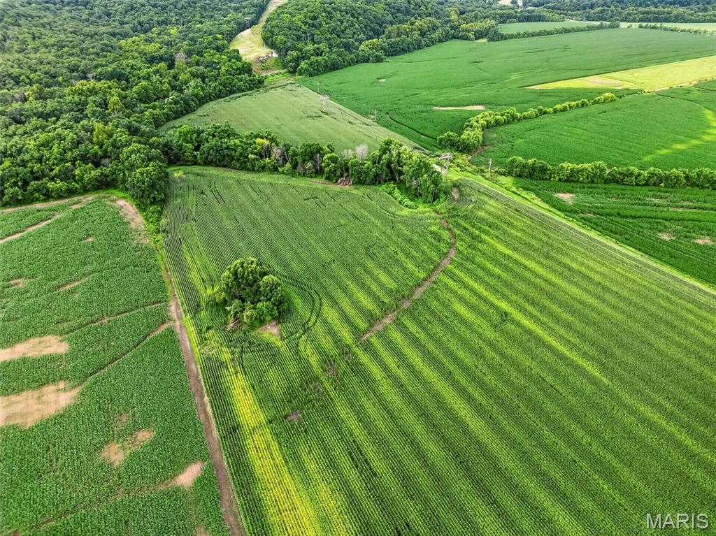 N/A - Farm