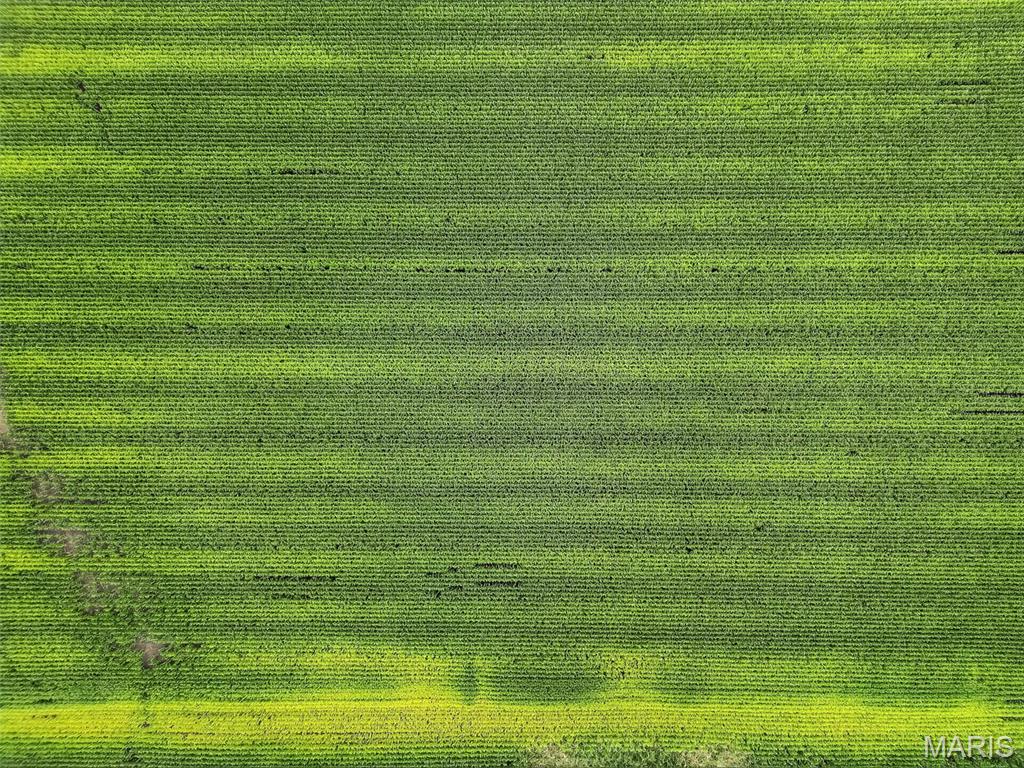 N/A - Farm
