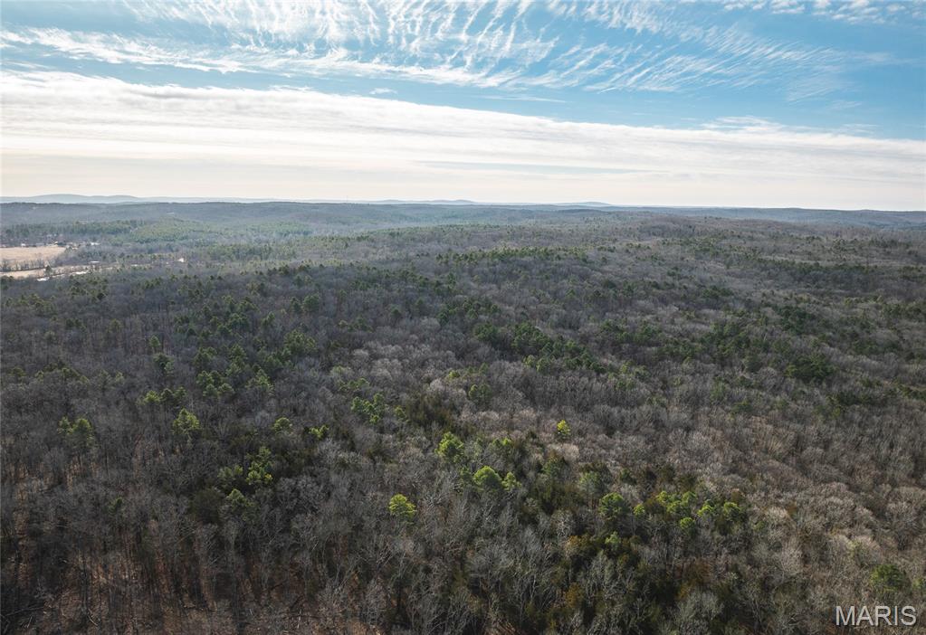This impressive 240 +/- acre all-timber tract sits just minutes from the heart of Potosi, MO, offering a rare combination of seclusion, natural beauty, and long-term potential. The landscape is defined by gently rolling terrain, mature hardwood ridges, and a layout that lends itself perfectly to multiple build sites. A substantial volume of marketable timber provides immediate income opportunities for the new owner.
With dual access points—one from Bust Subdivision Road and another from Mayo Lane—the property is well positioned for future development or a private recreational retreat. Electric service is available at several locations along the boundary, making infrastructure planning straightforward.
Whether your vision includes a quiet getaway, a legacy property for generations to enjoy, or an investment with development upside, this tract delivers the versatility and setting to make it happen. The property is being offered in two 120 acre tracts as well. Call today to schedule a private showing!