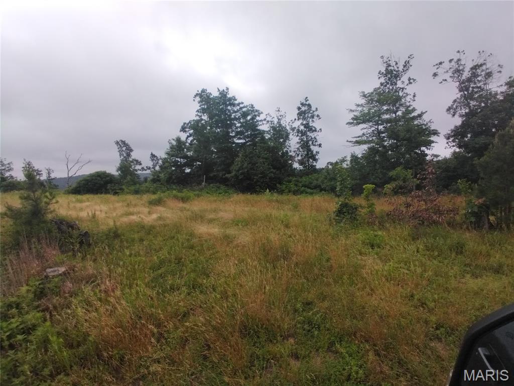 18.55 +/- surveyed acres located in Belleview, Missouri. This property offers a peaceful rural setting with plenty of room to build, hunt, camp, or simply enjoy nature. Conveniently located near Elephant Rocks, Johnson's Shut-Ins, Shepherd Mountain Bike Park, and the Black River. A great opportunity to own your own slice of the Ozarks!