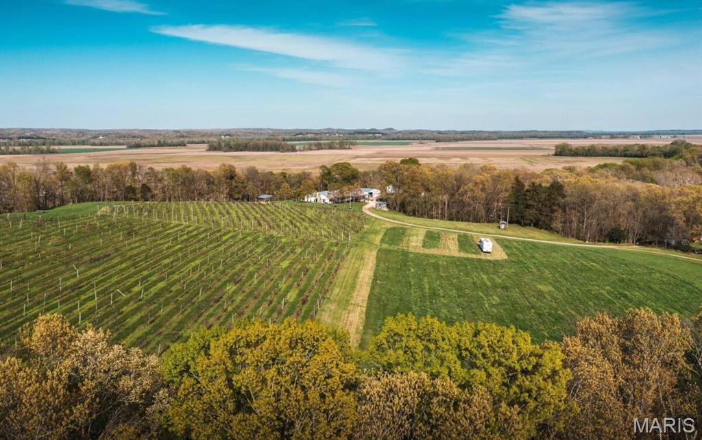 Event Center, Brewery & Winery. This exceptional 67 acre commercial and agricultural property is part of the renowned Hermann Wine Trail.  The 5200 sq.ft. Microbrewery/Winery is perched on a bluff with sweeping views of the Missouri River bottoms. This turnkey operation includes all brewery/winery equipment and inventory, offering a seamless transition for a new owner. 
The Hearth Room provides indoor seating for 100 guests, a stone fireplace for warm inviting year-round hospitality.  There are outdoor seating areas to enjoy live music from the band stand while viewing the 6 acre vineyard. The property also features a charming 3 bed, 2 bath residence, a 36' x 40' multipurpose building, and a stocked pond. Ideal for events, wedding venue, production, or expansion. This unique property blends natural beauty, income producing potential, and multiple improvements in an unmatched setting.