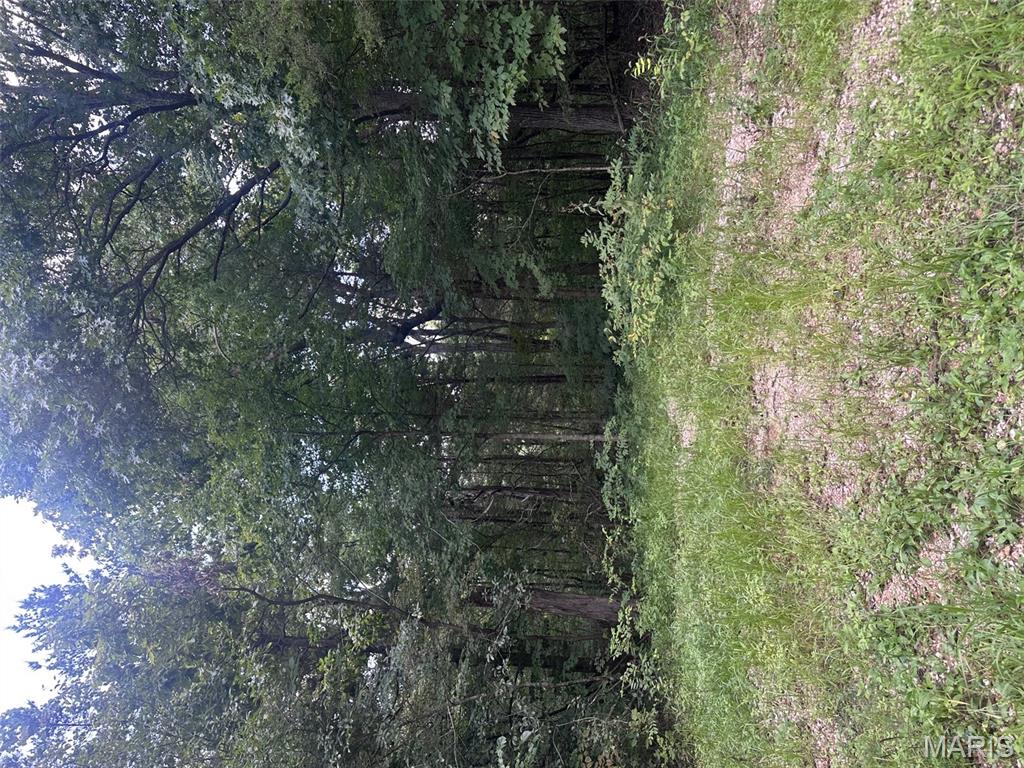 Big Woods - Land