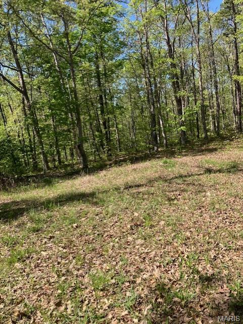 A great looking 20.580 acre tract of land only an hour from St. Louis and about four miles from the nearest town with restaurants and shopping ... yet a secluded feeling surround by peaceful forest.
This would make a great place to build a home, build a weekend cabin, or just clear a campsite. The land is gently rolling but has plenty of flat areas to build.
Once you leave the blacktop you can be at the property in a minute or two. And the deeded access road is graveled and wide. 
These escapes this close to the city are rare. Use it as a rural living site, a weekend and holiday getaway, or a place to escape to far away from the chaotic city.
And there are larger pieces bordering this one if you want more acres.