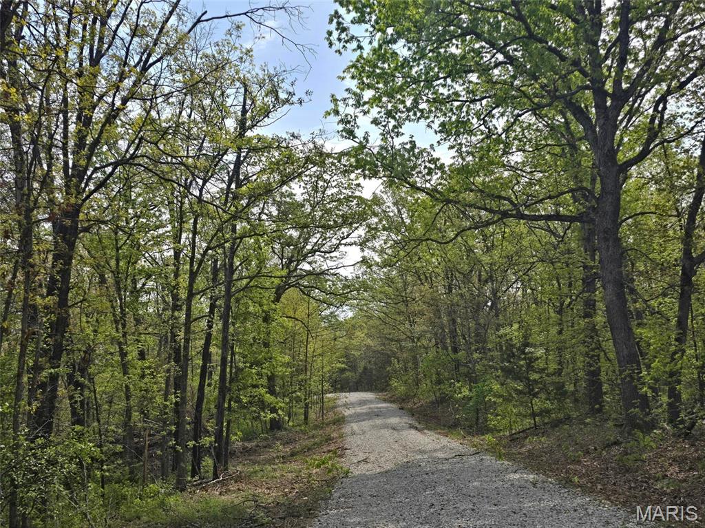 GreatviewLane - Land