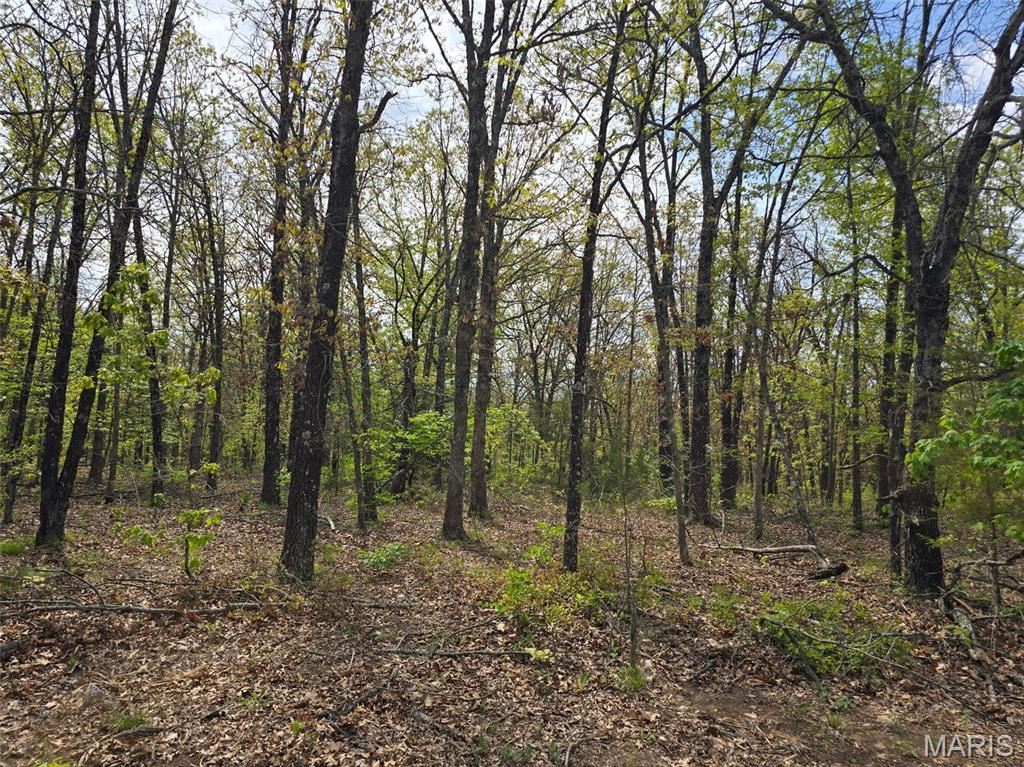 GreatviewLane - Land