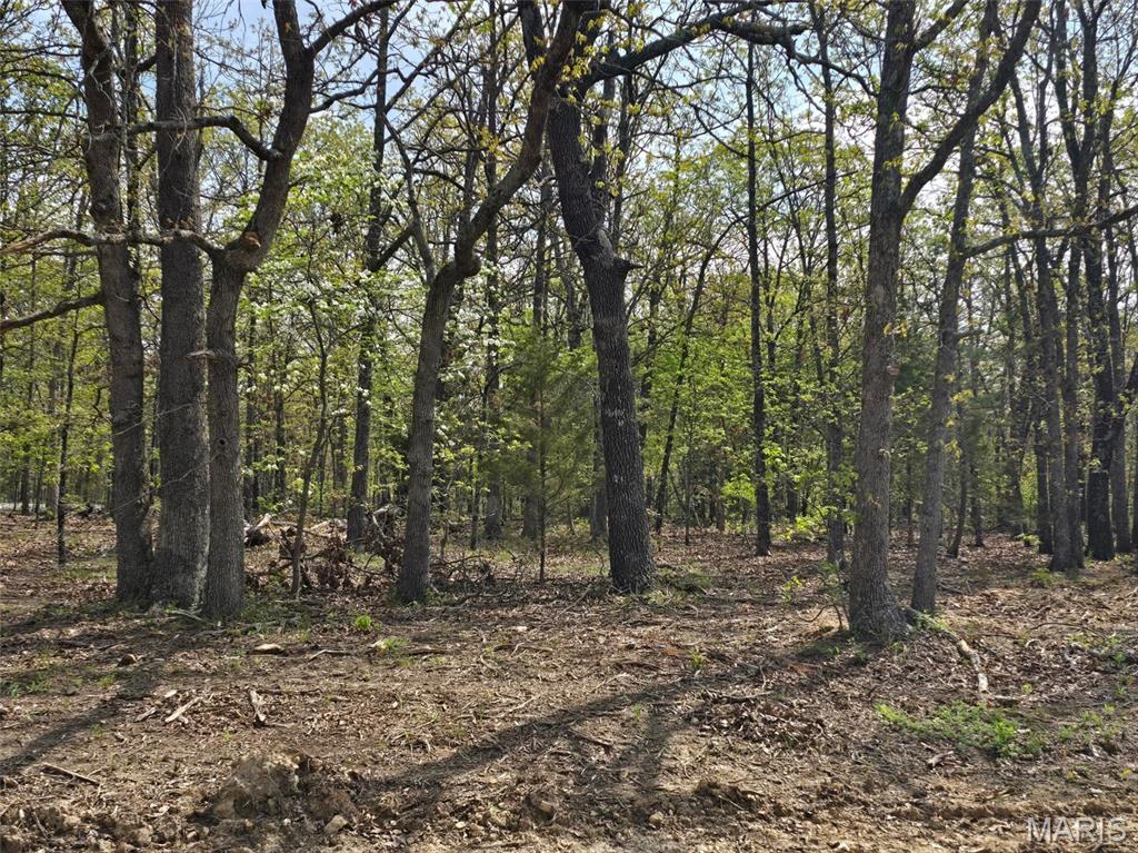 GreatviewLane - Land