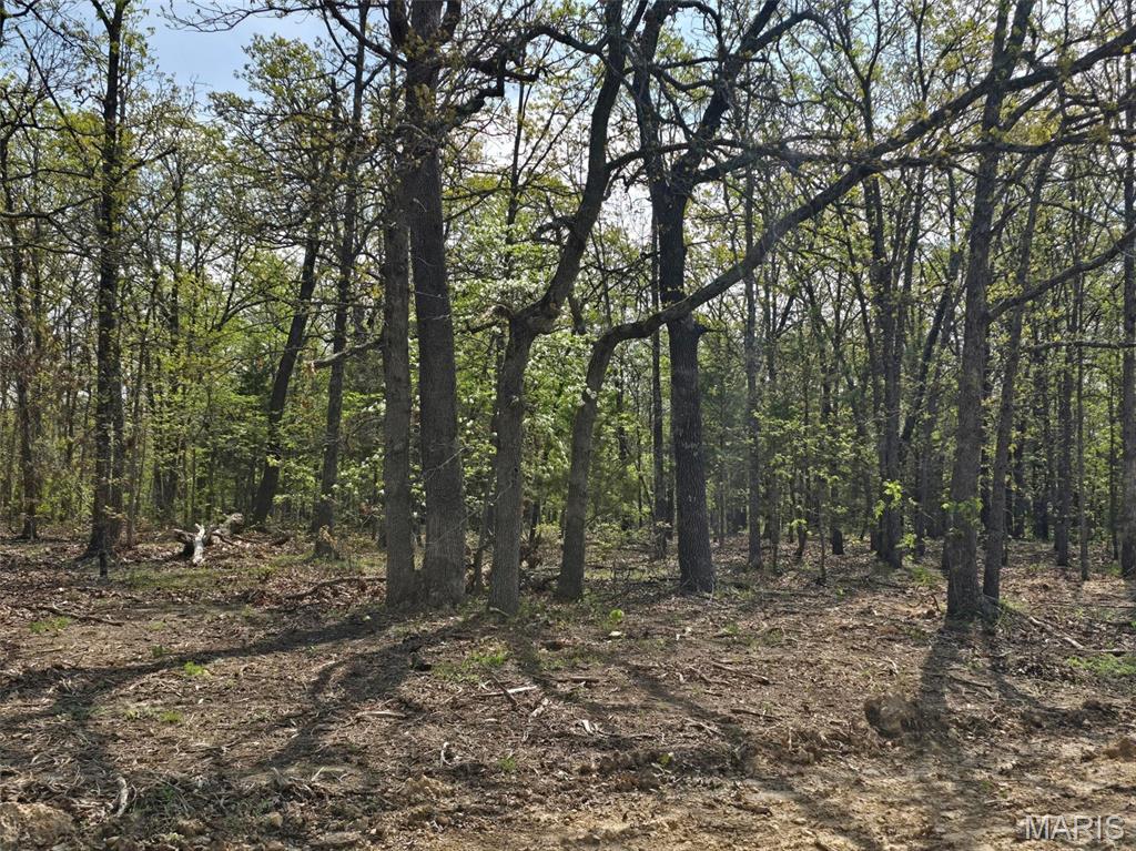 Marketing Remarks: Underground power is available! It has been installed to the lots that have sold but not installed at this lot yet. The owner would consider cost sharing to get it to your lot. This 8.1 acre has a gorgeous pond and nice home sites. It is part of a larger parcel that has been subdivided. The tracts are situated at the end of a dead-end road, offering seclusion. Bennett Springs trout hatchery and state park are just a short drive away. The region provides ample public access land for outdoor enthusiasts. This private location is ideal for a homesite, bed and breakfast cabins, or other creative investment opportunities.