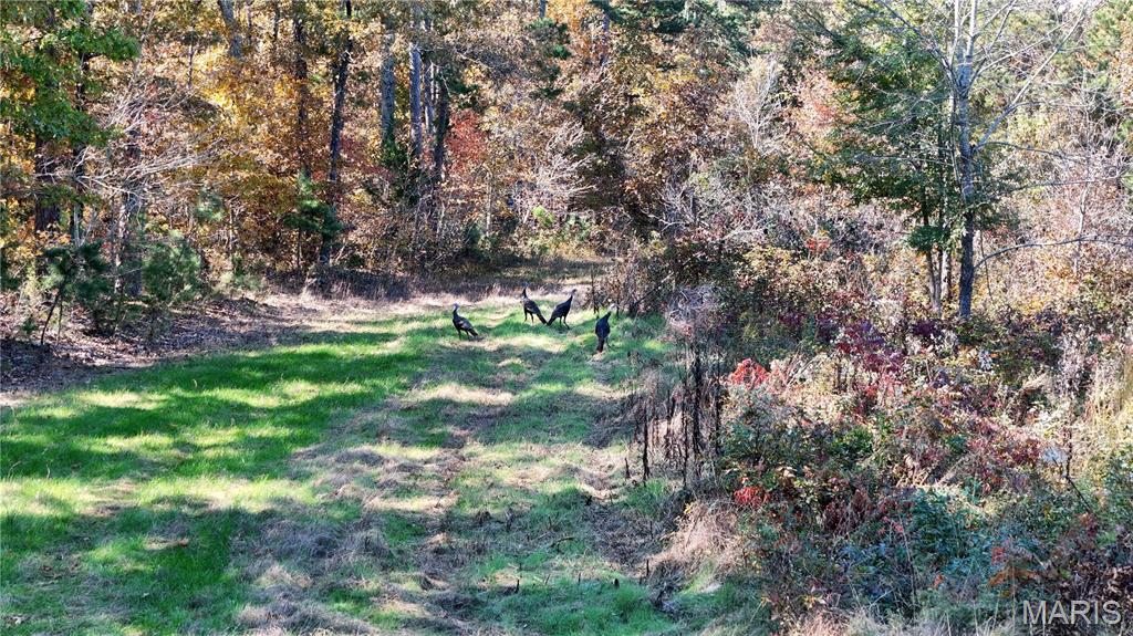 none - Farm