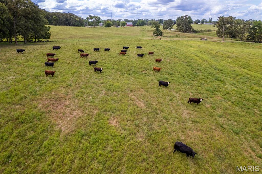 N/A - Farm
