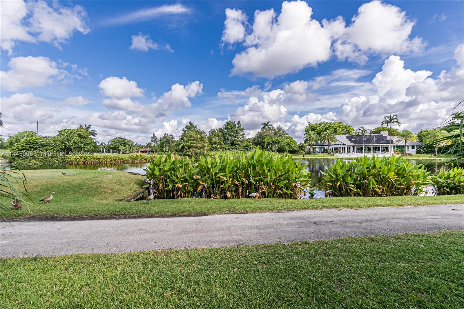 Townhouses  Emerald Hills - Residential