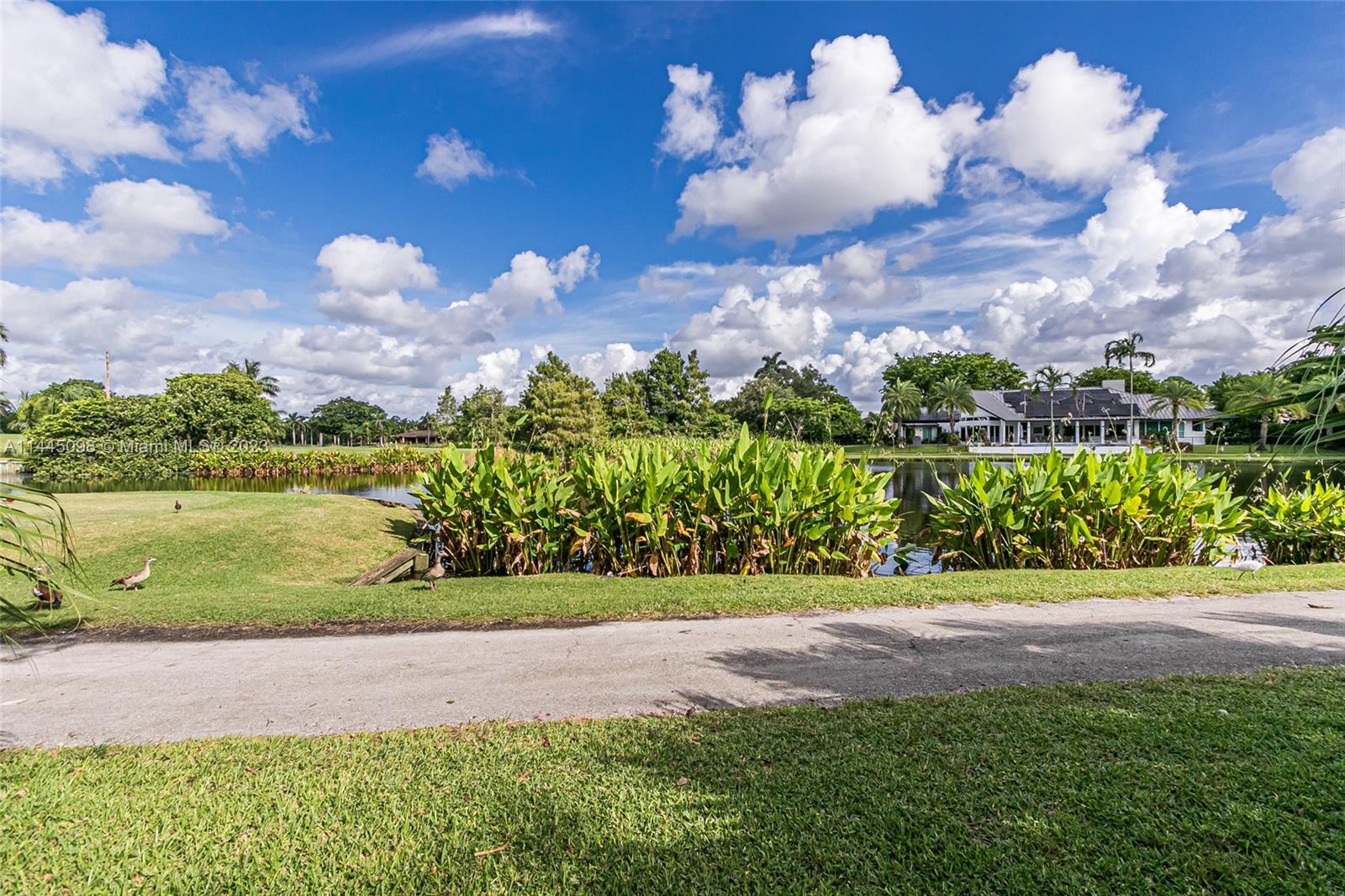 Townhouses  Emerald Hills - Residential
