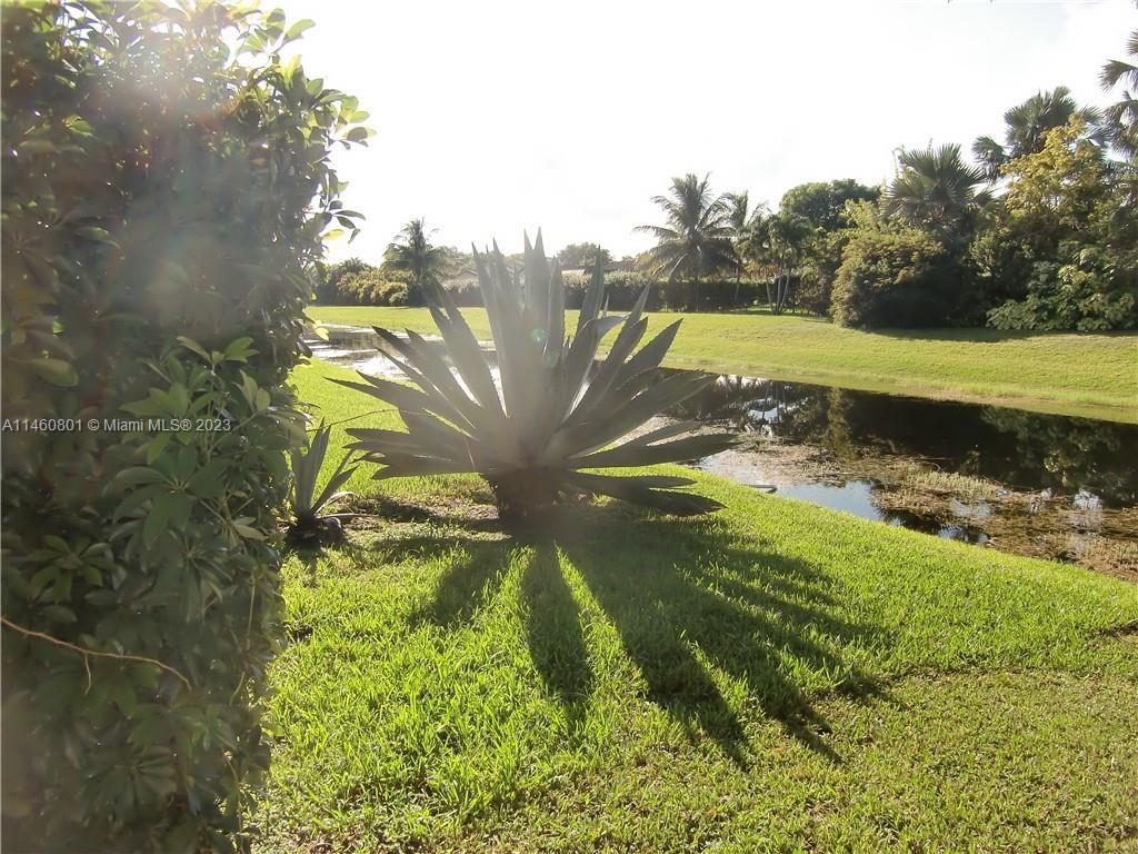 ORANGE TREE OF CORAL SPRI - Residential