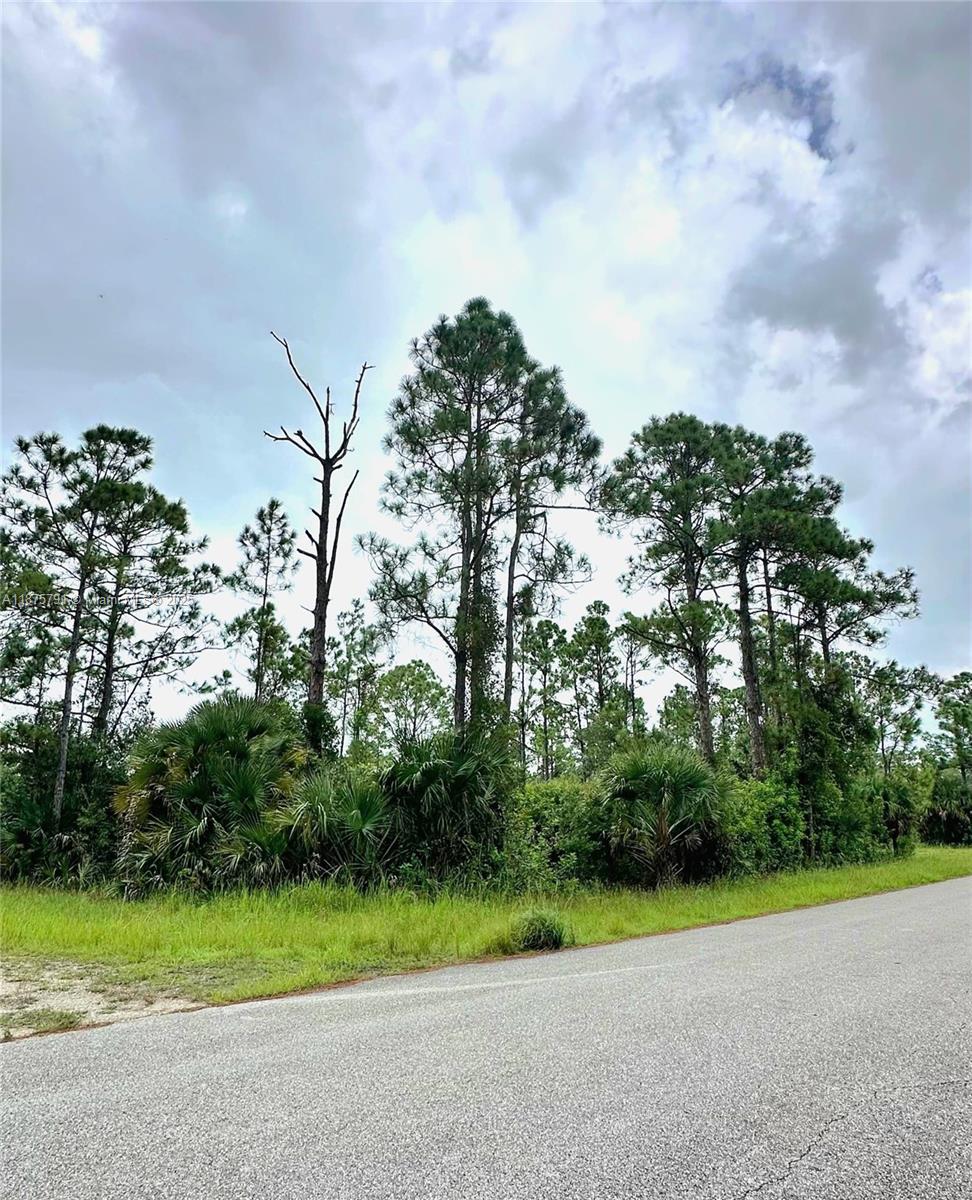 Lehigh Acres - Land