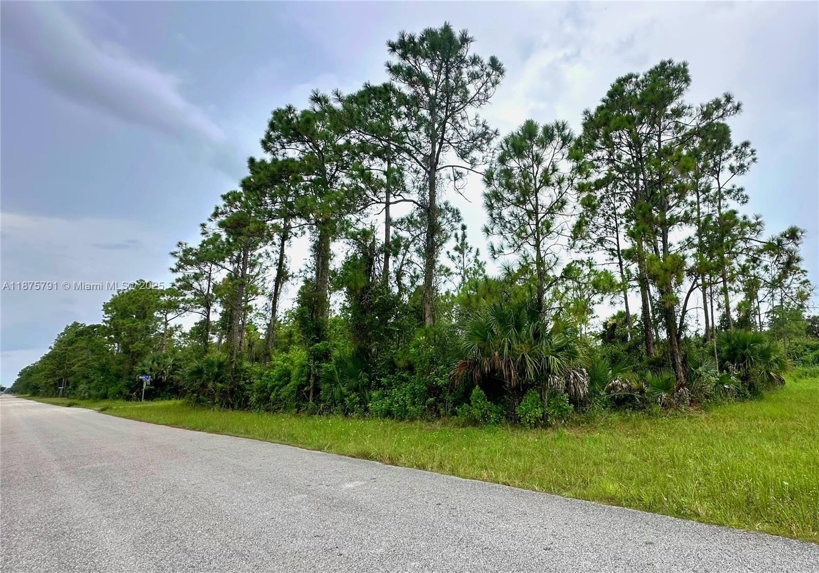 Lehigh Acres - Land