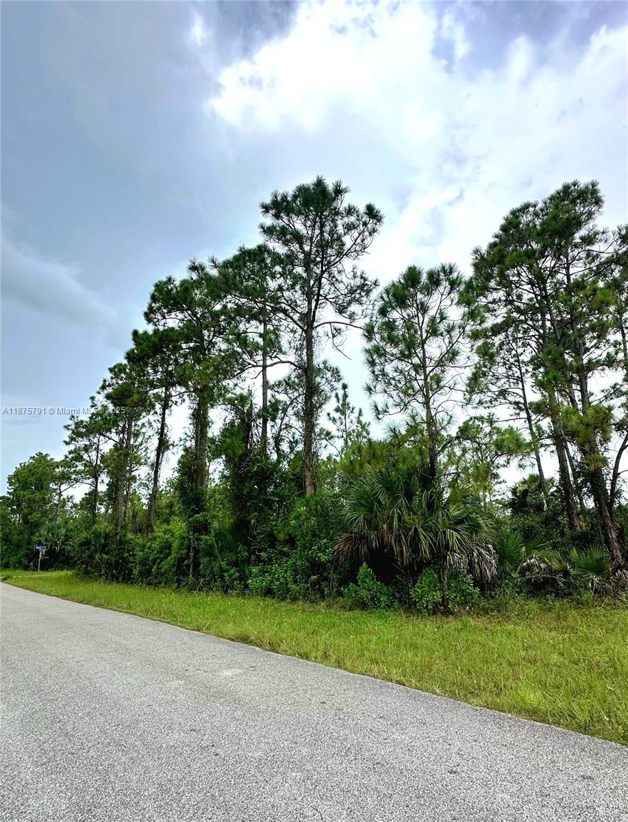 Lehigh Acres - Land