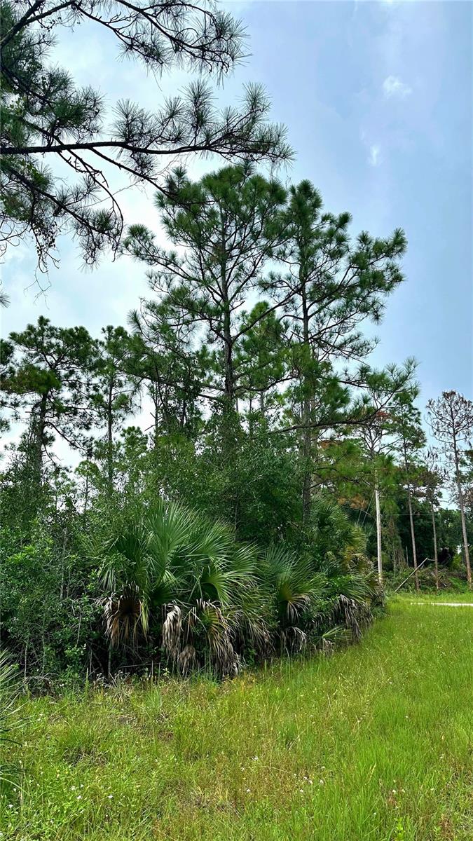 Lehigh Acres - Land