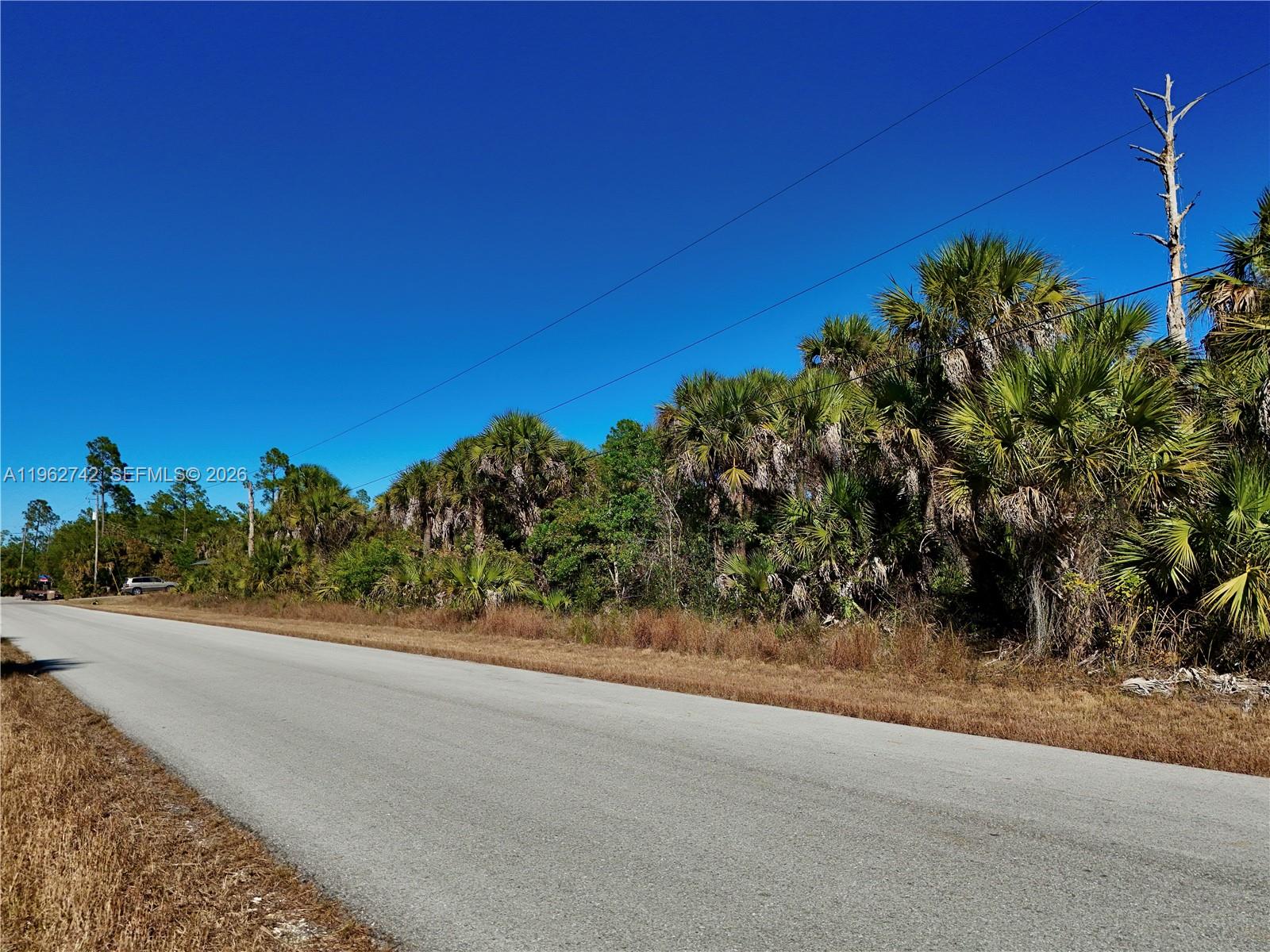 LEHIGH ACRES - Land