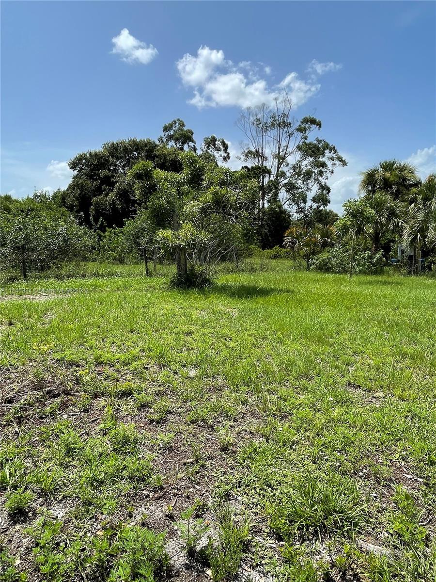FT DENAUD ACRES S/D BLK A - Residential