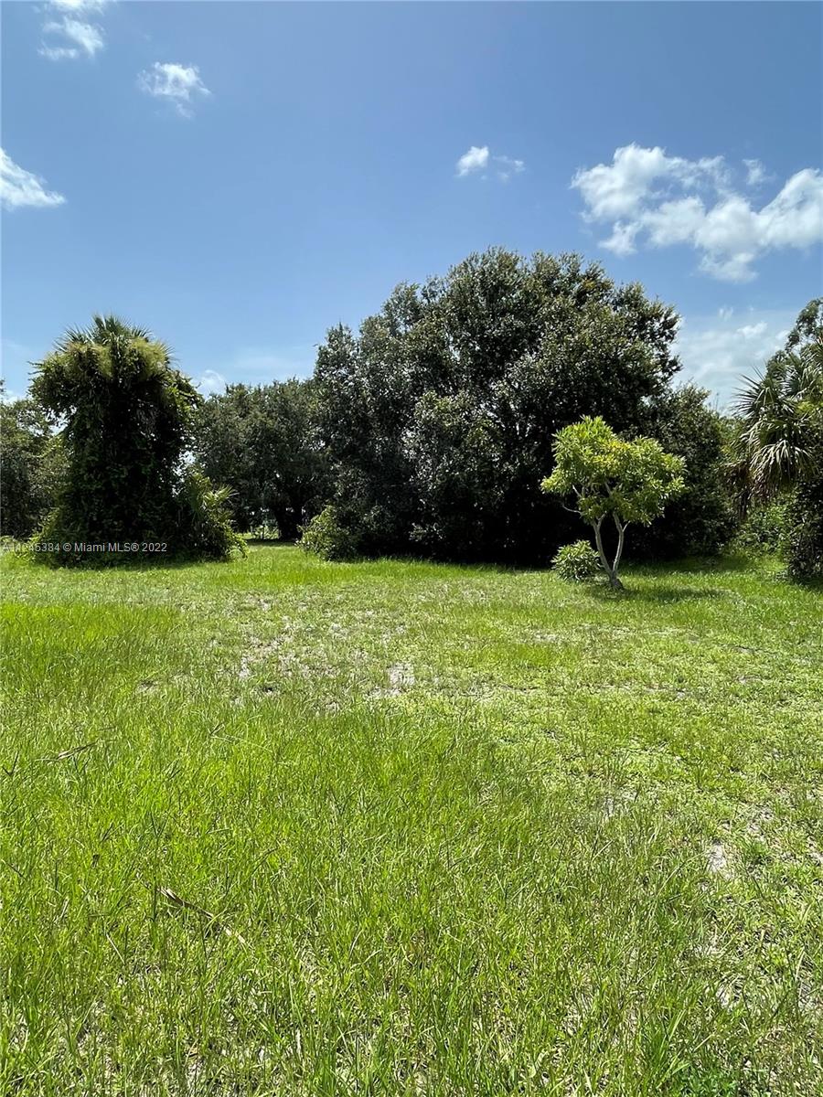 FT DENAUD ACRES S/D BLK A - Residential