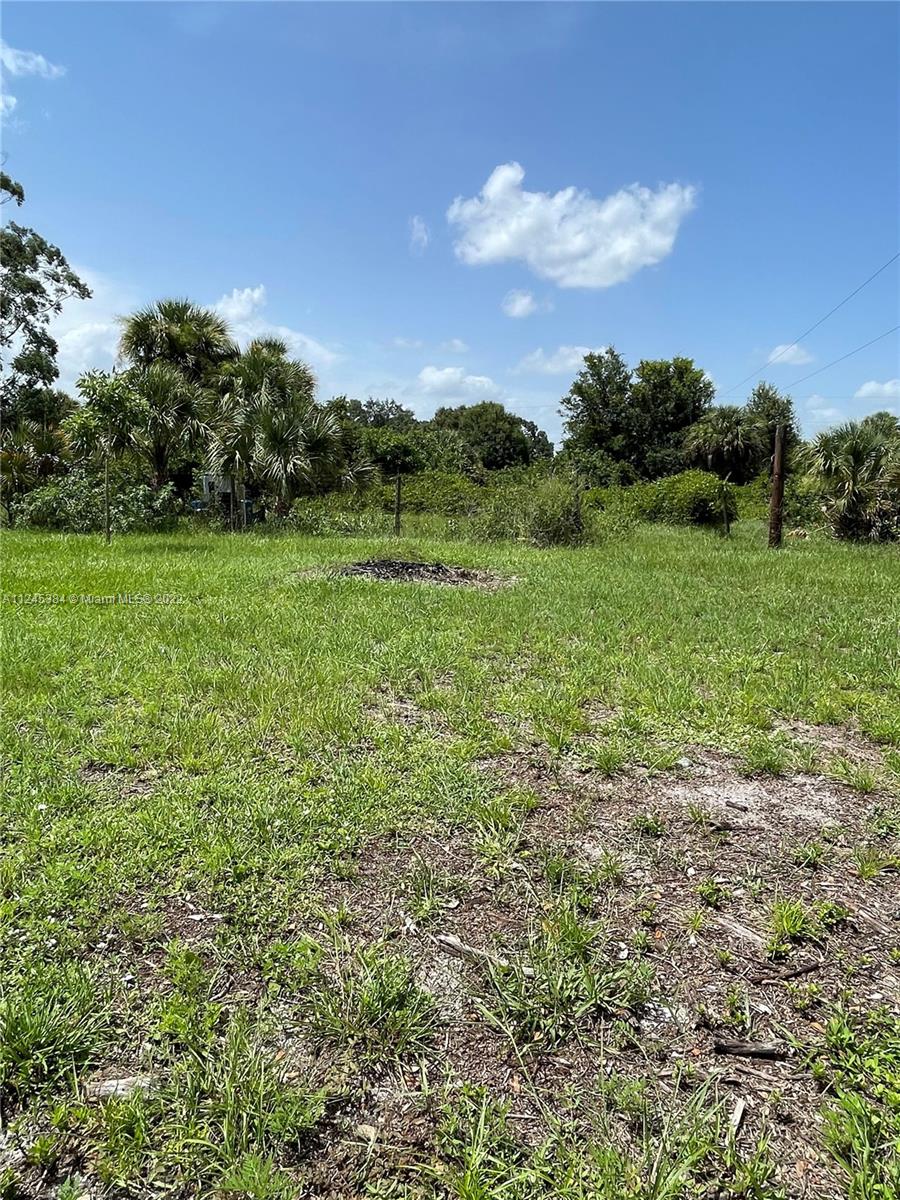 FT DENAUD ACRES S/D BLK A - Residential