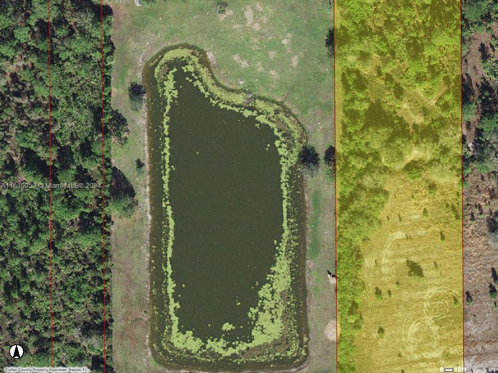 WELCOME TO THE GOLDEN GATE AREA OF NAPLES, WHERE YOUR DREAM HOME AWAITS ON THIS EXPANSIVE 2.73-ACRE PLOT OF LAND. THIS REMARKABLE PROPERTY IS A BLANK CANVAS, READY TO BE TRANSFORMED INTO THE HOME OF YOUR DREAM. WITH ITS GENEROUS SIZE, YOU'LL HAVE AMPLE SPACE TO BUILD THE PERFECT RESIDENCE, COMPLETE WITH ALL THE AMENITIES YOU DESIRE.
