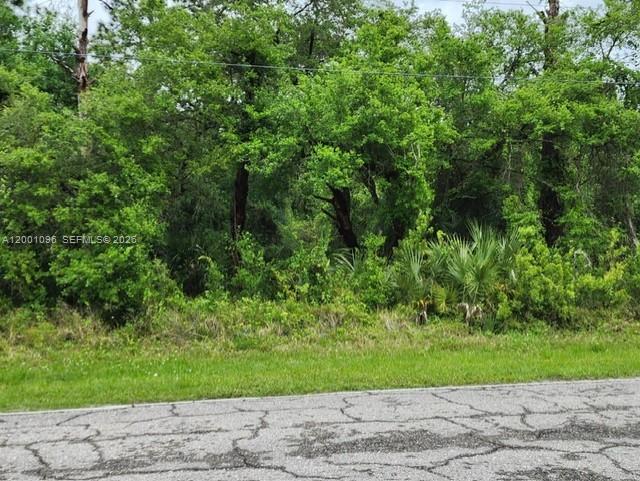 Montura Ranch Estates - Land