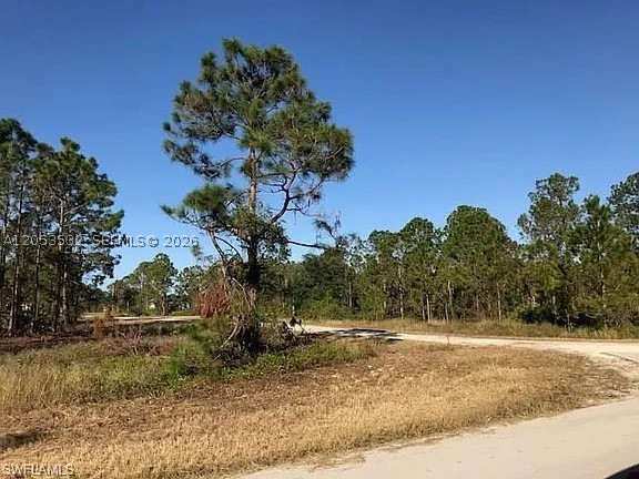 Lee County Unincorporated - Land
