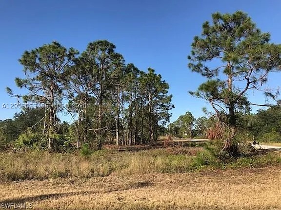 Lee County Unincorporated - Land