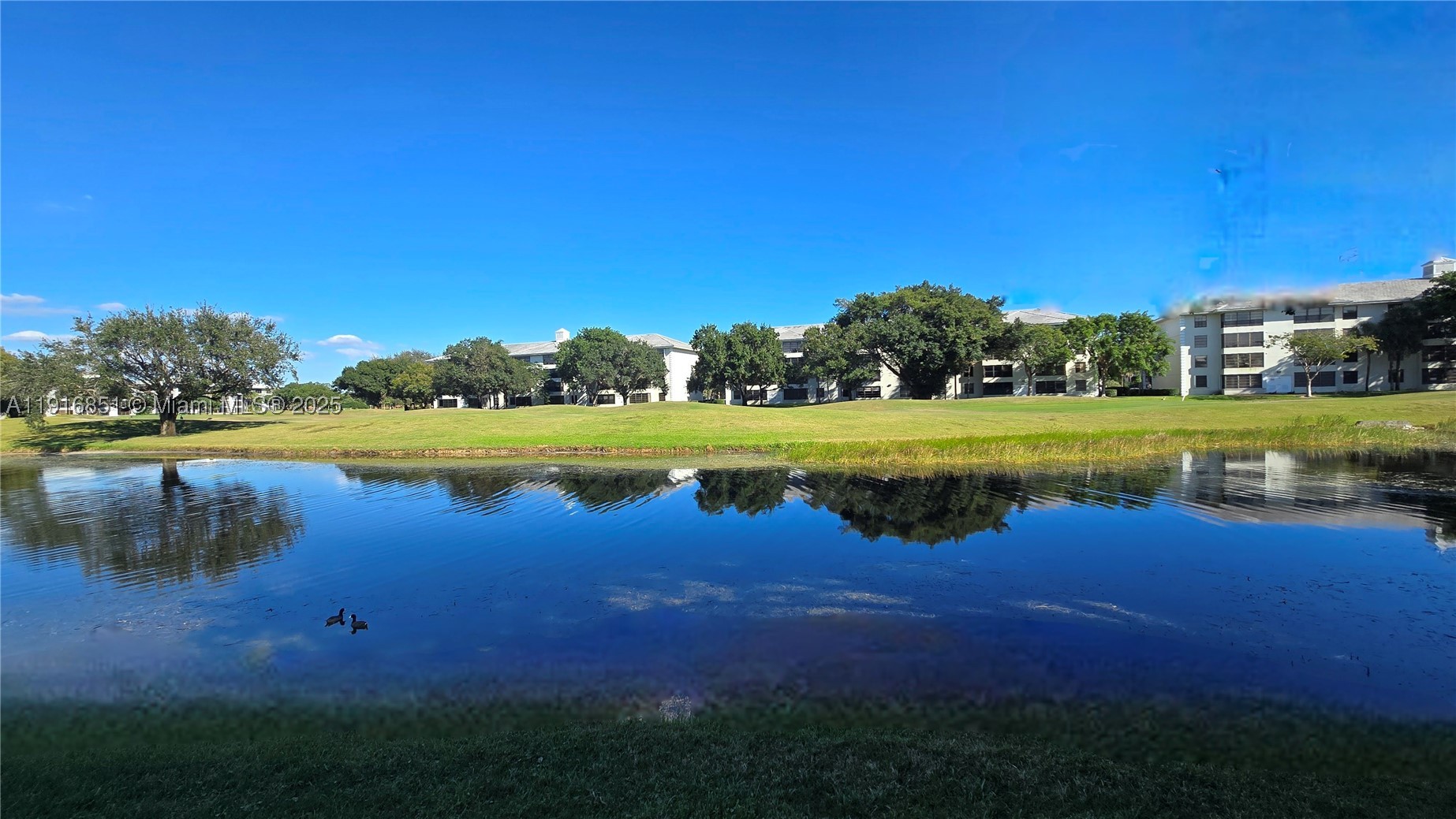 POINCIANA 11 PINE ISLAND - Residential