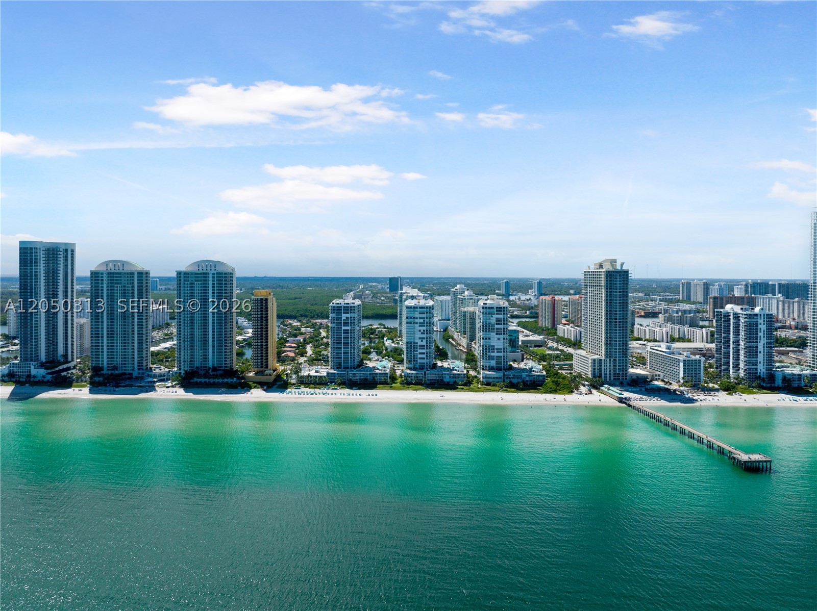 PARQUE TOWERS CONDO - Residential Lease