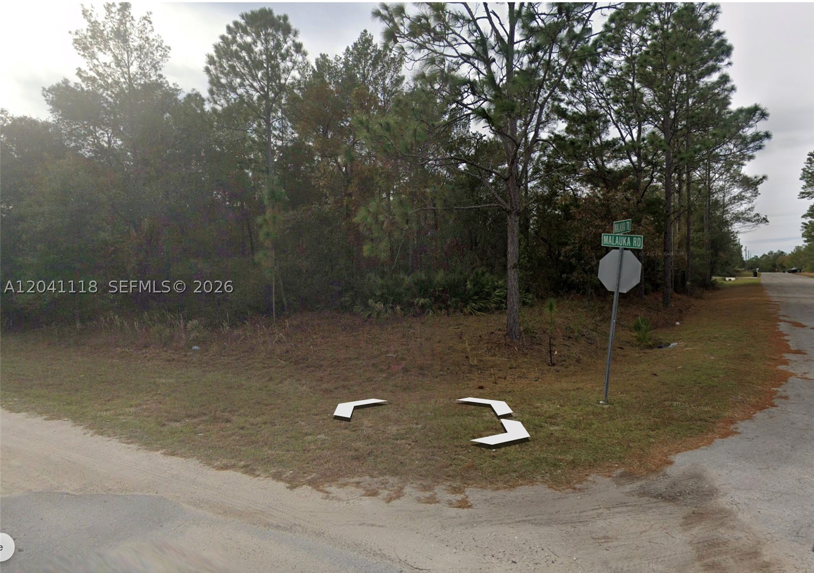 SILVER SPRINGS SHORES # 31 - Land