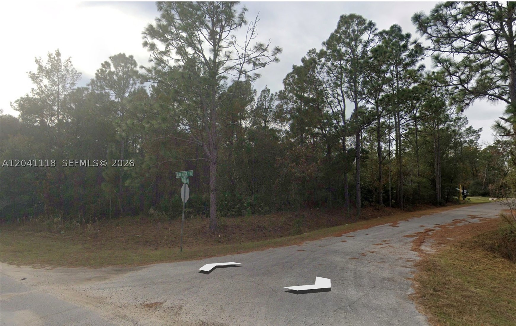 SILVER SPRINGS SHORES # 31 - Land