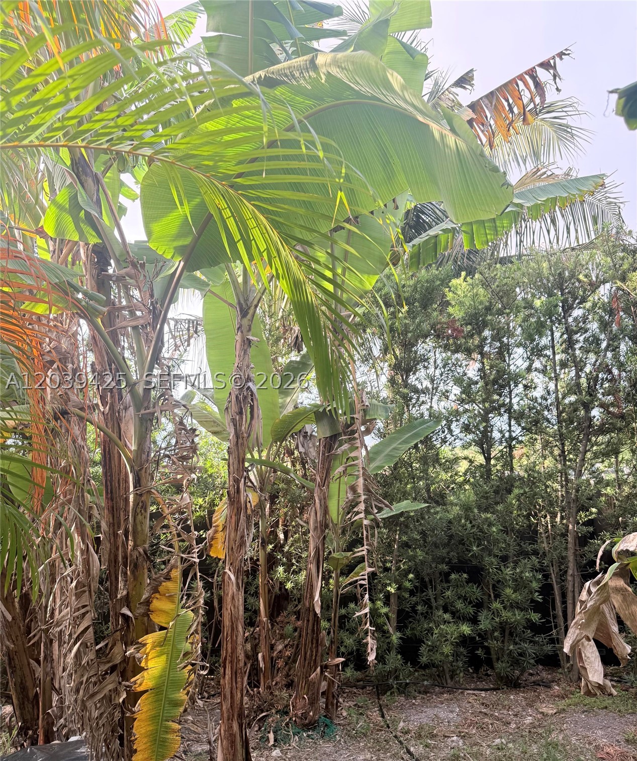 COUNTRY LAKE MANORS SEC 3 - Residential