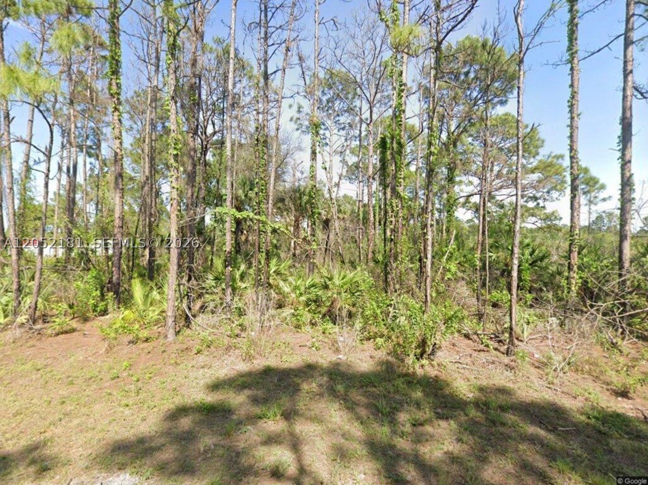 Lehigh Acres - Land