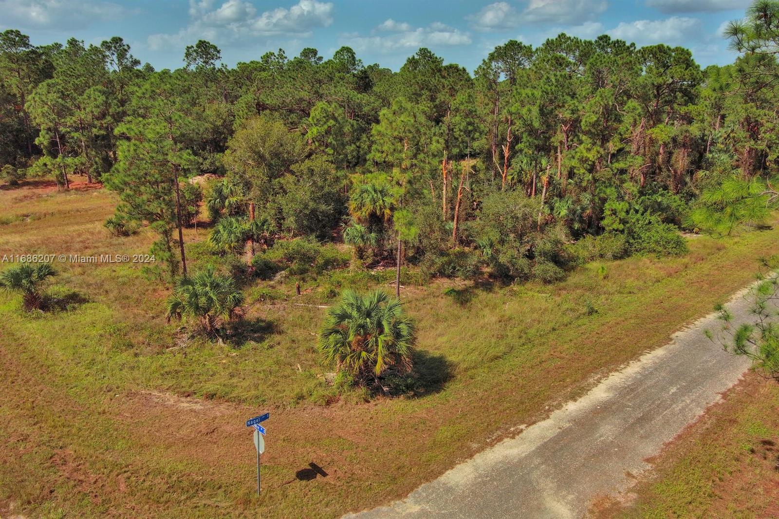 LEHIGH ACRES - Land