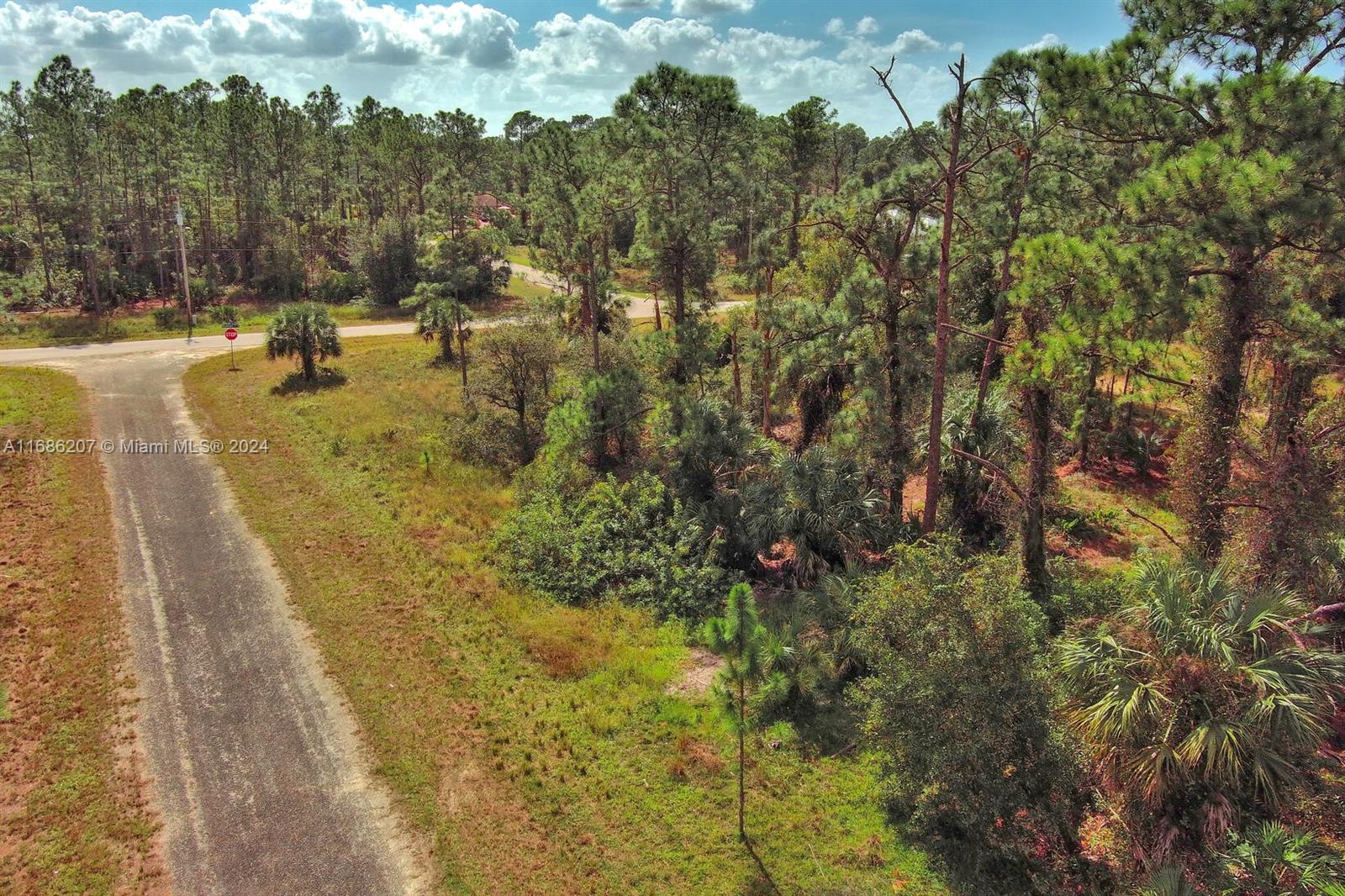 LEHIGH ACRES - Land