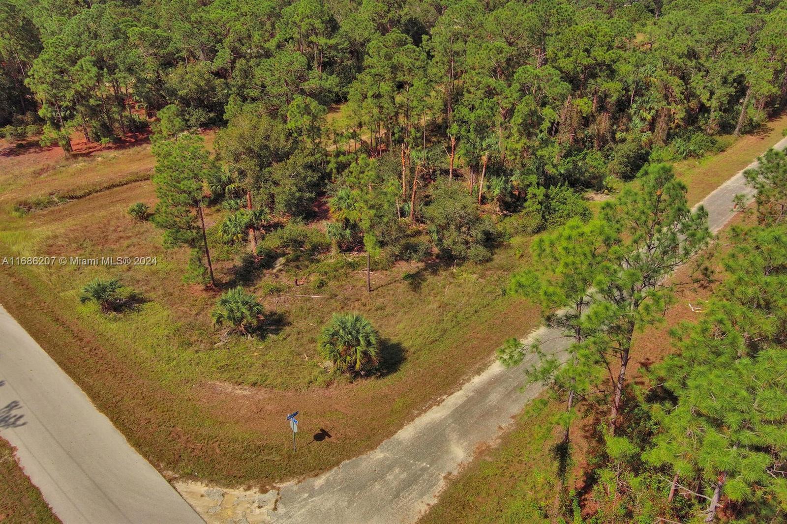LEHIGH ACRES - Land